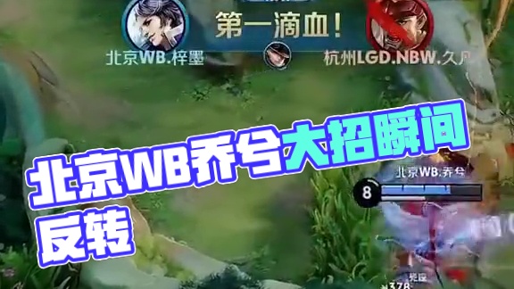 慧相结合的 慧相结合的