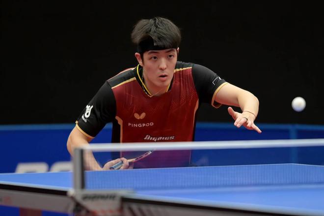 共同推动下 共同推动下